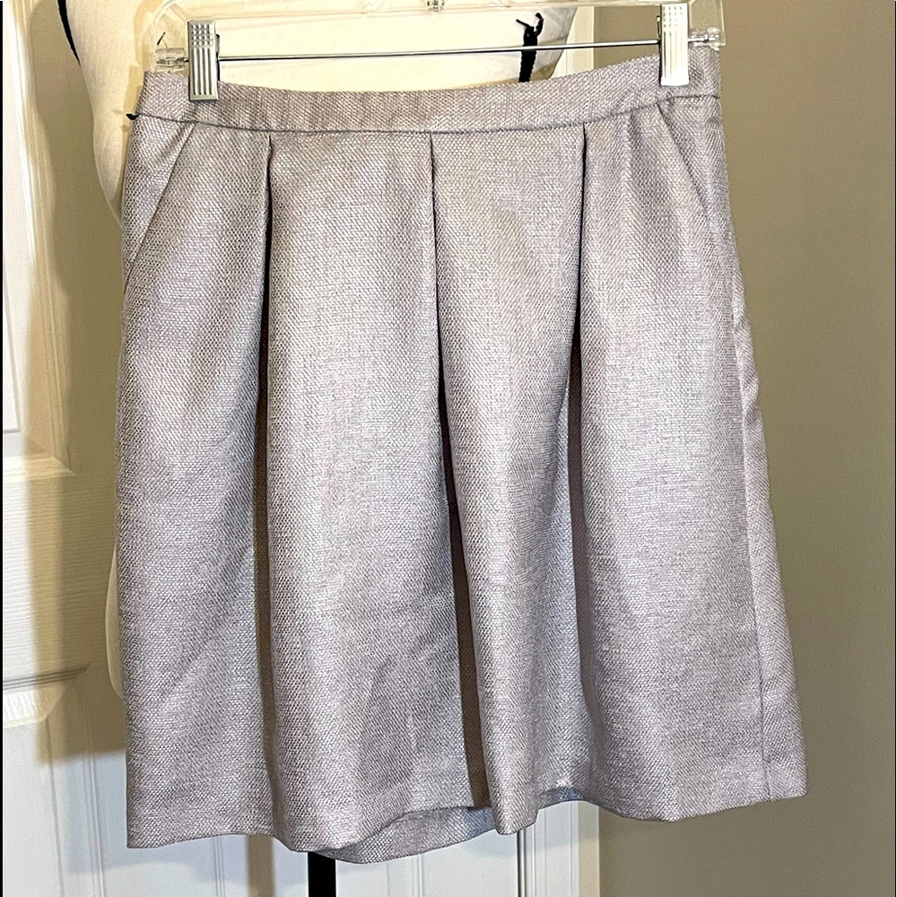 The Limited pleated Skirt